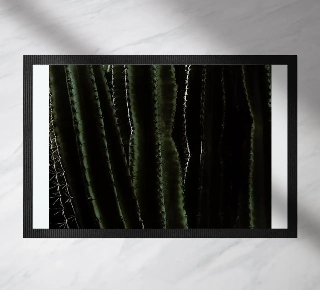 Cactus 01 zerbino da Laura Palm