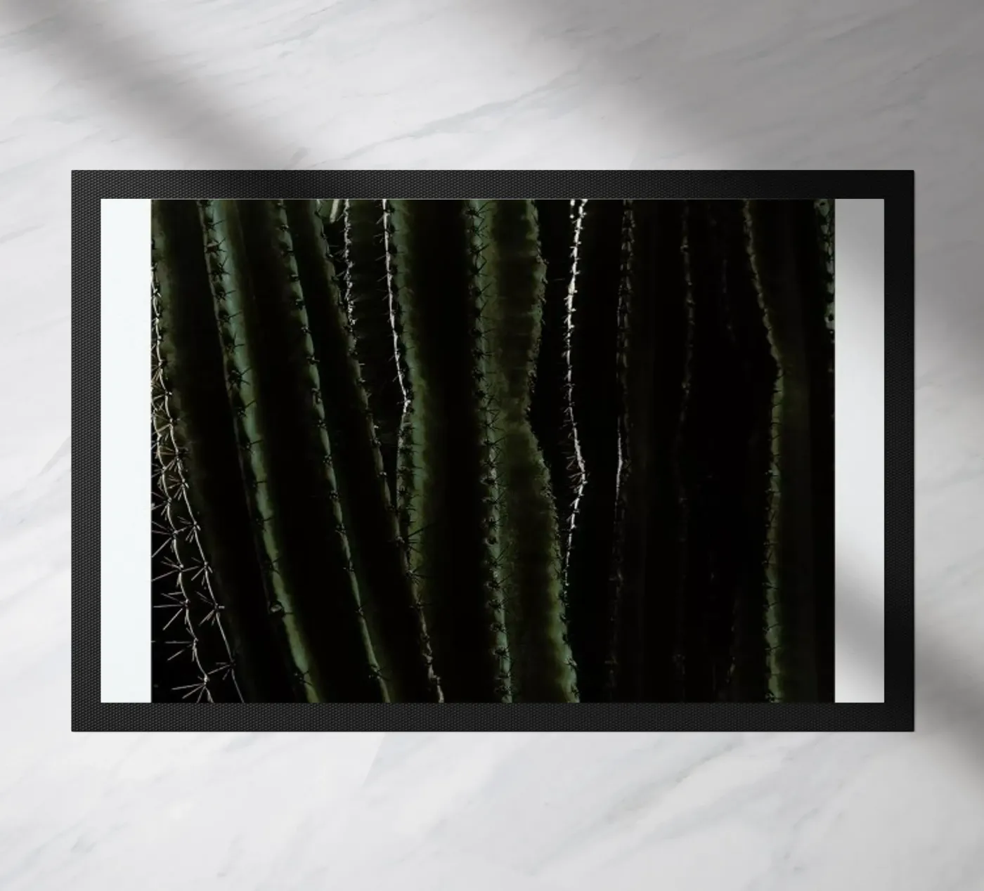 Cactus 01 zerbino da Laura Palm