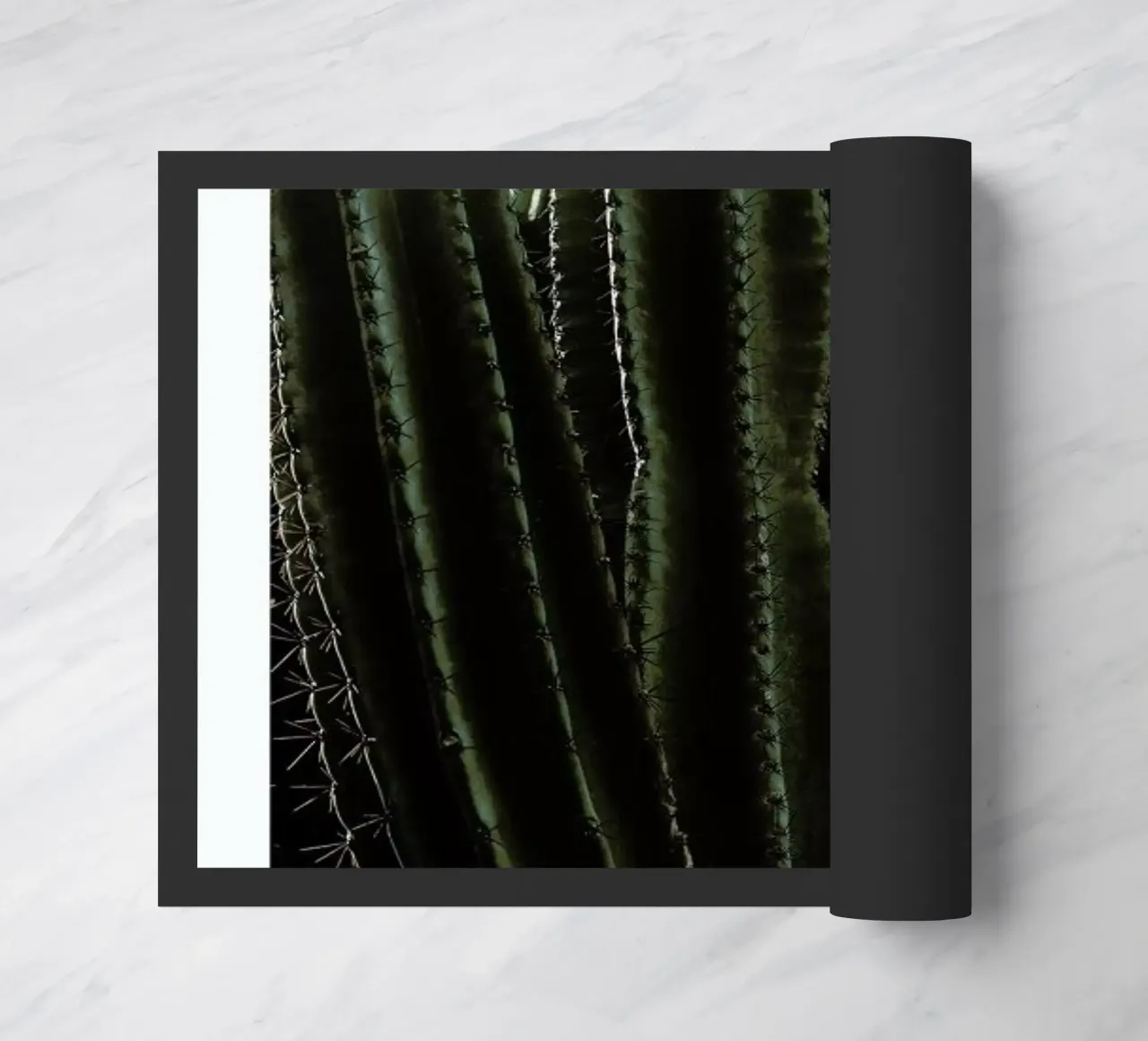 Cactus 01 zerbino da Laura Palm