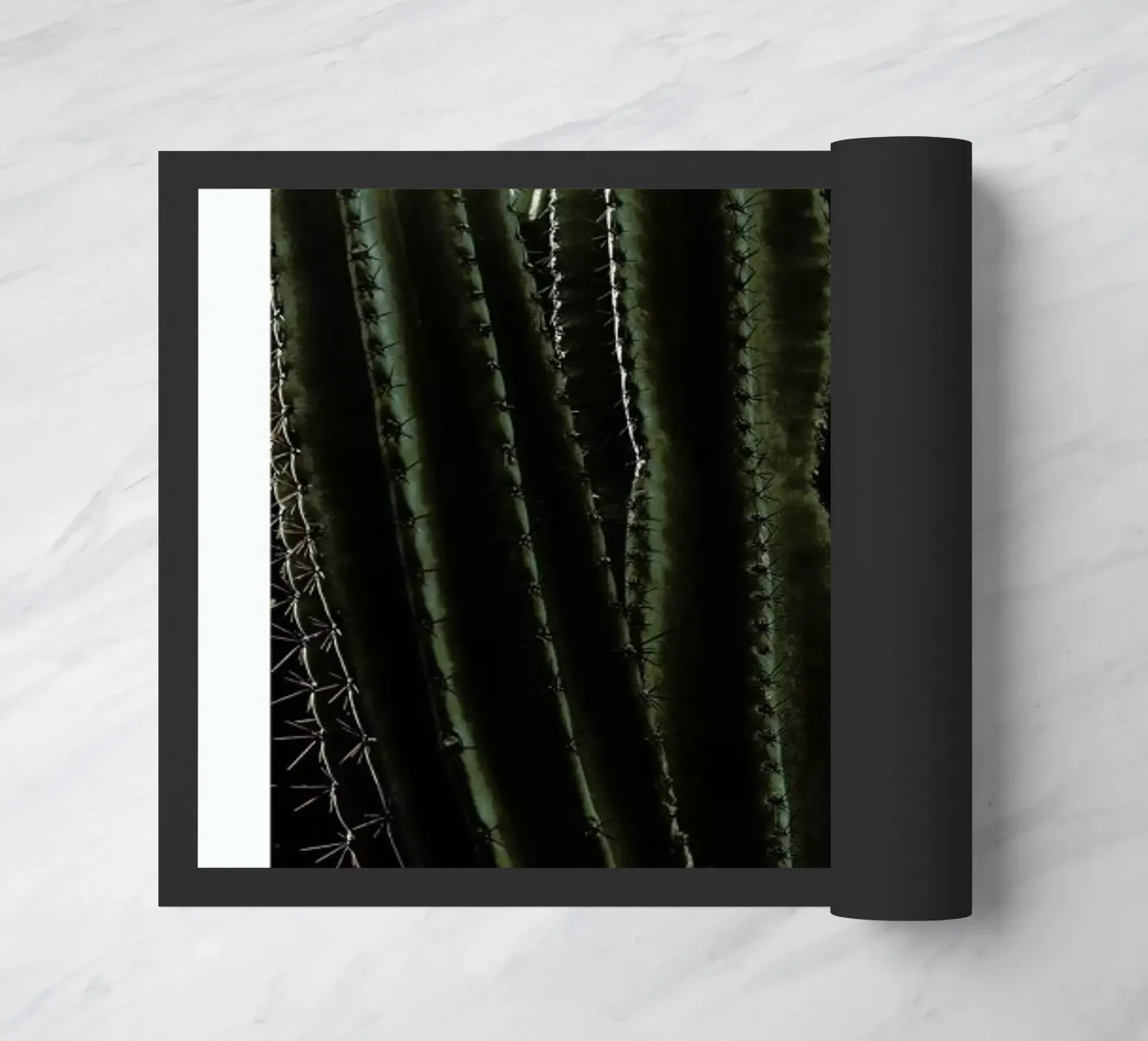 Cactus 01 Fußmatte von Laura Palm