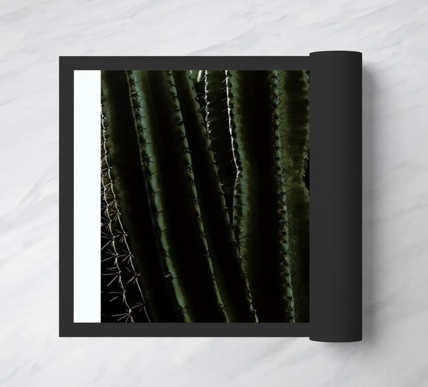 Cactus 01 zerbino da Laura Palm