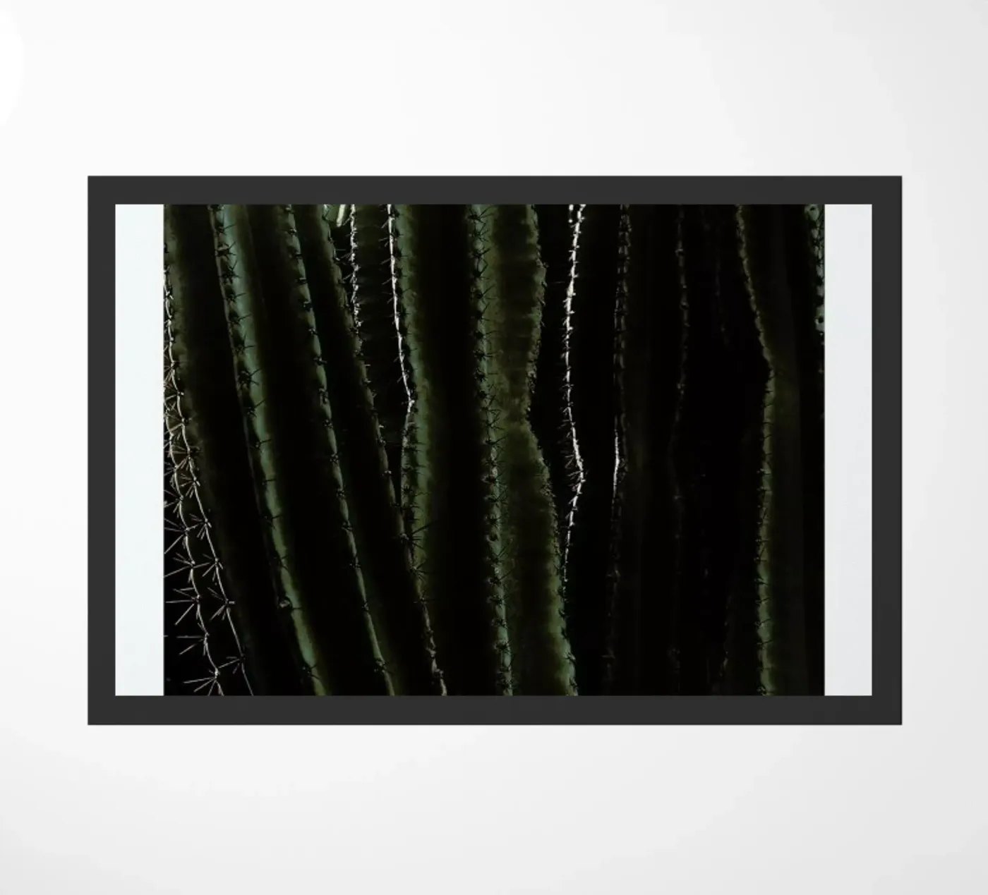 Cactus 01 Fußmatte von Laura Palm