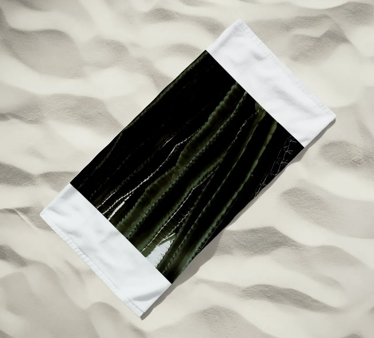 Cactus 01 telo mare da Laura Palm