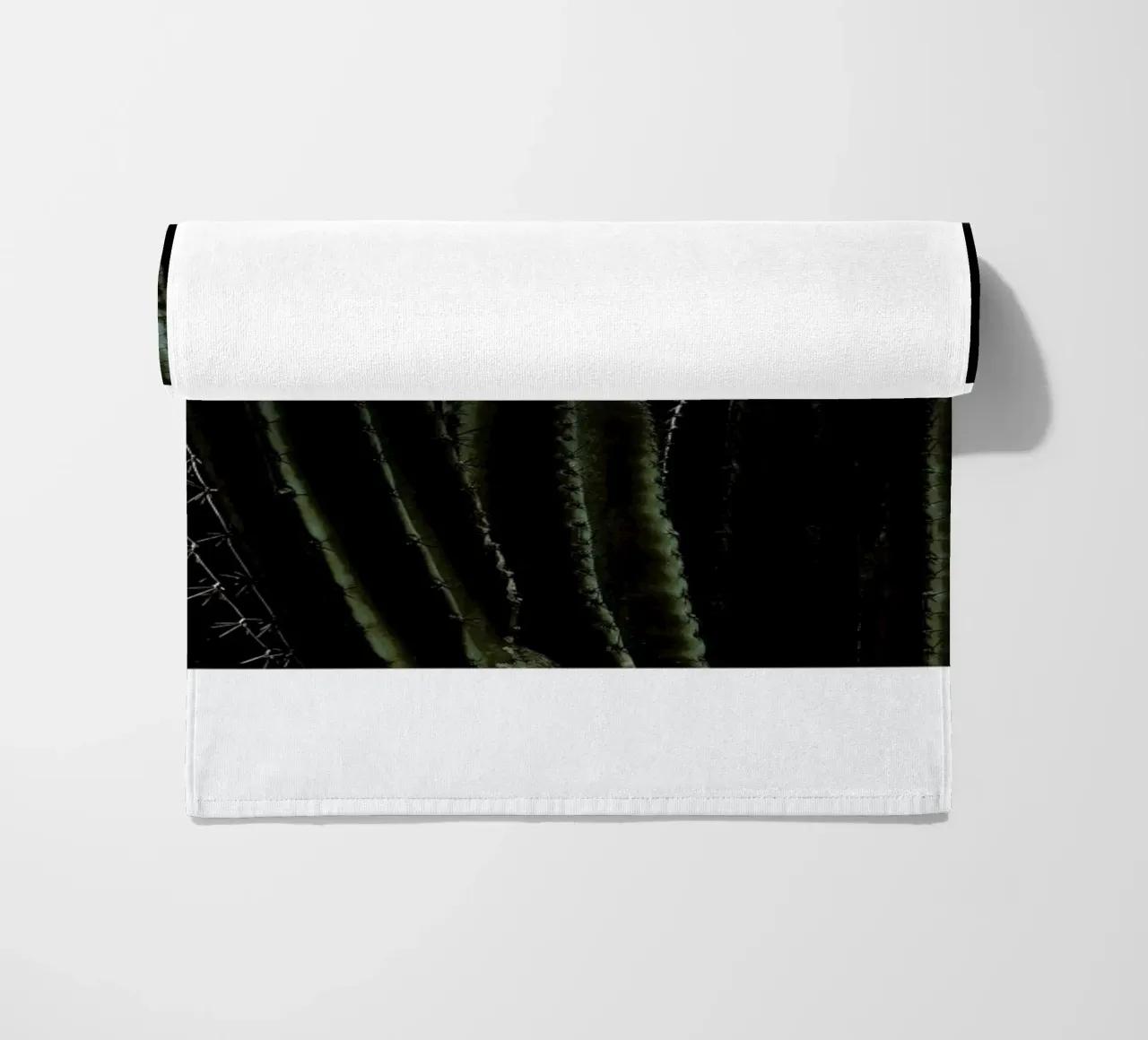 Cactus 01 telo mare da Laura Palm