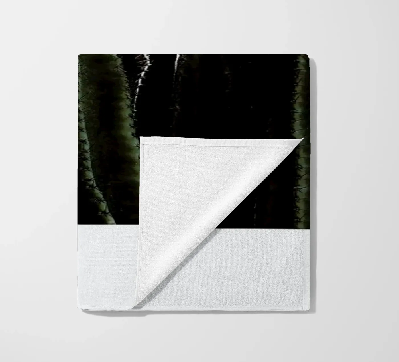 Cactus 01 telo mare da Laura Palm