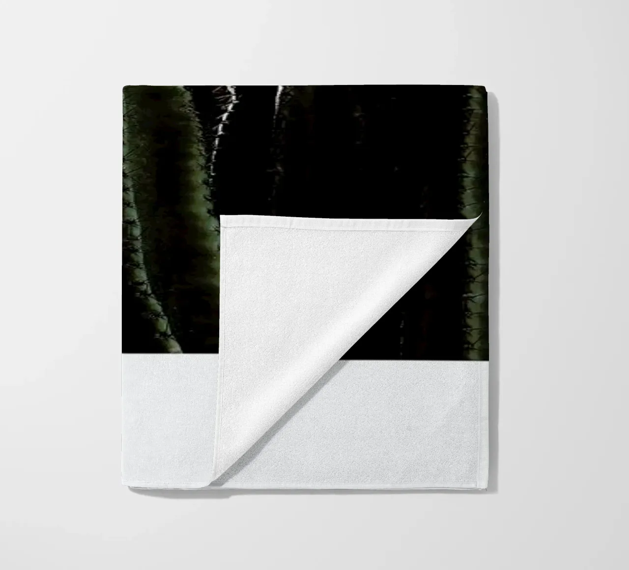 Cactus 01 telo mare da Laura Palm