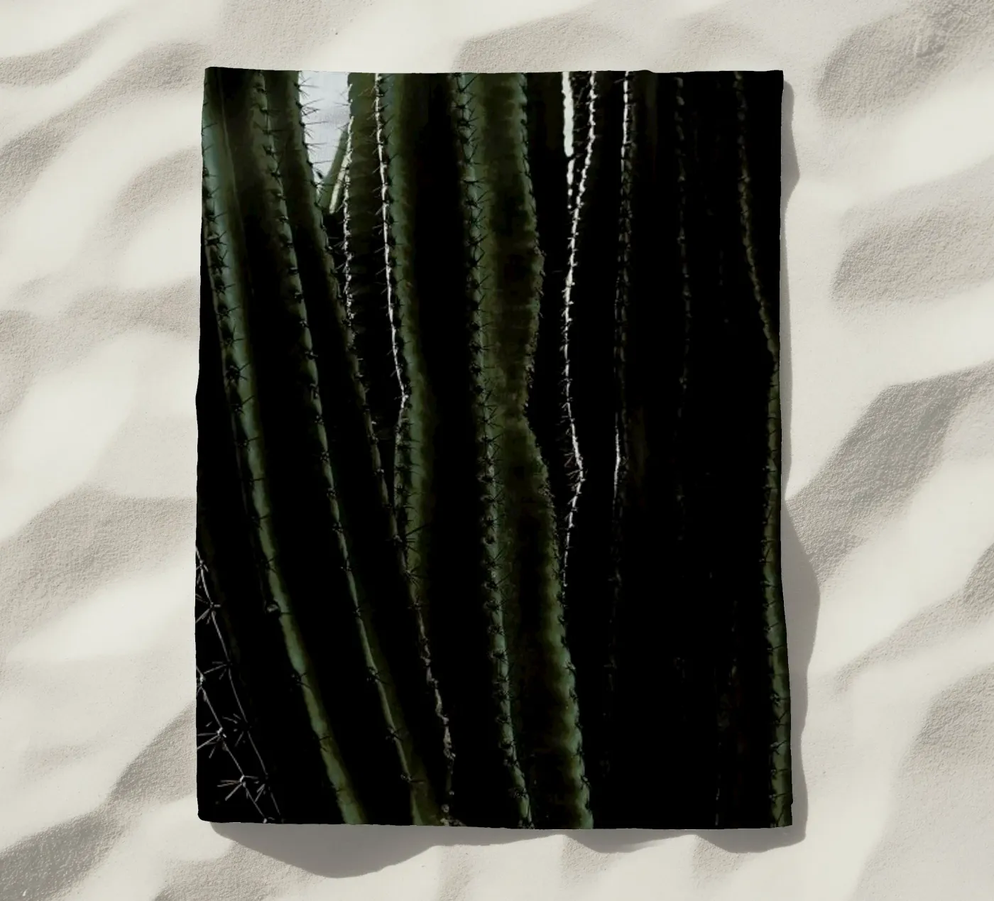 Cactus 01 telo mare da Laura Palm