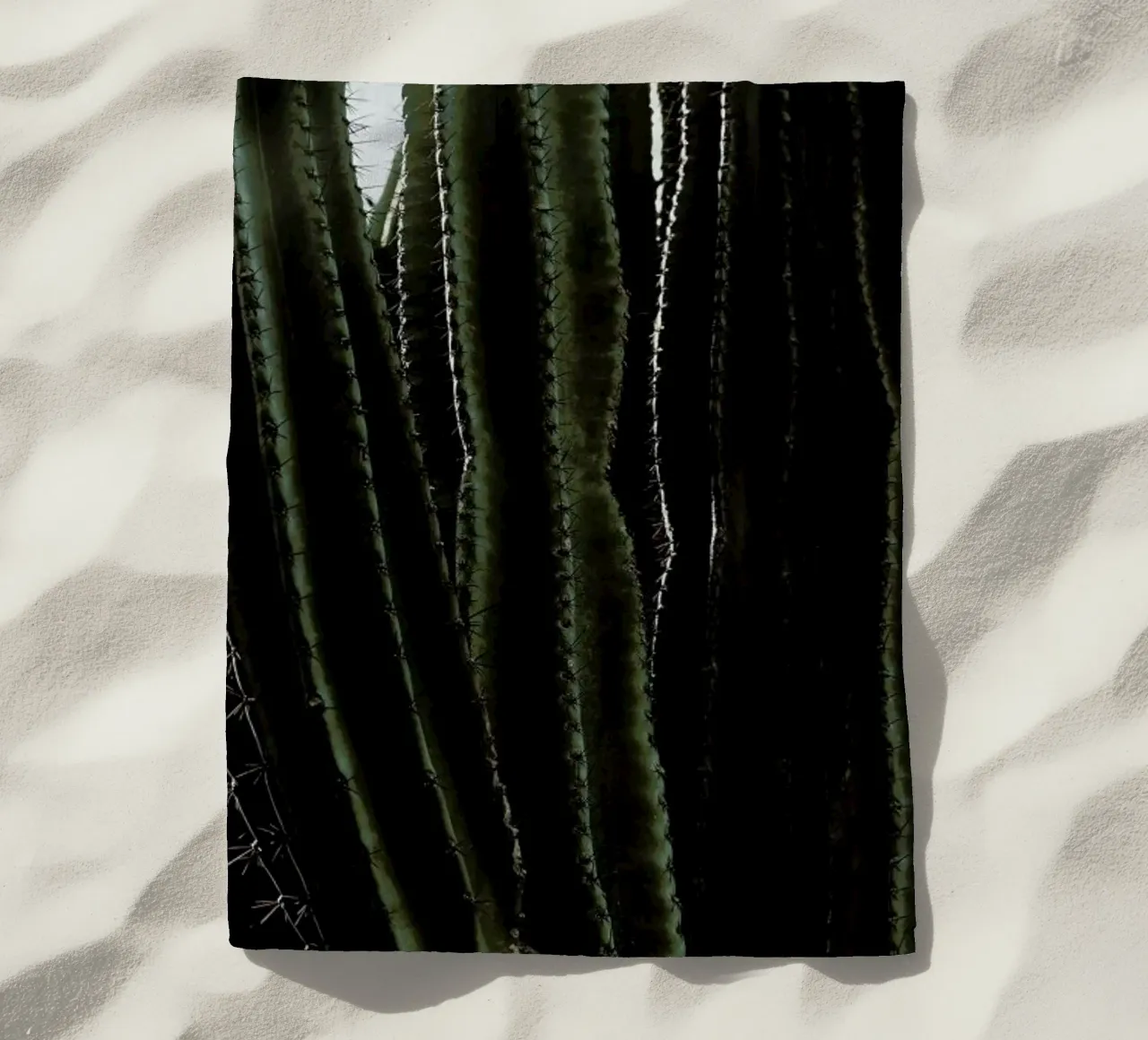 Cactus 01 telo mare da Laura Palm