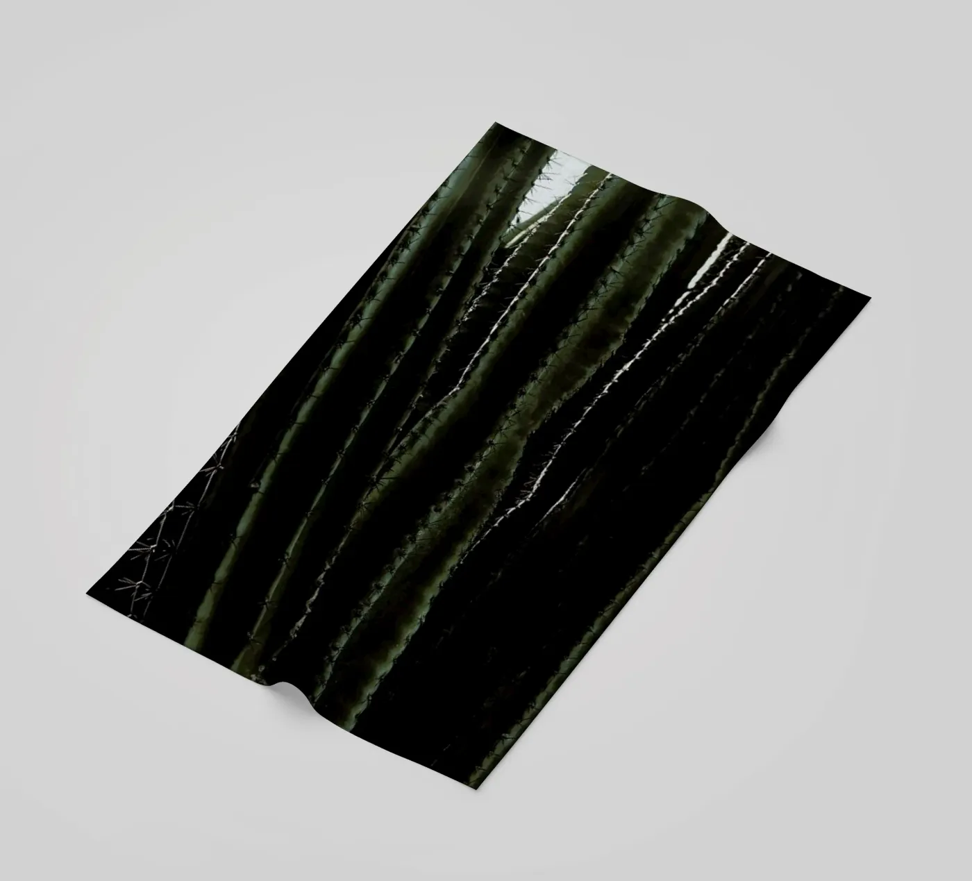 Cactus 01 telo mare da Laura Palm