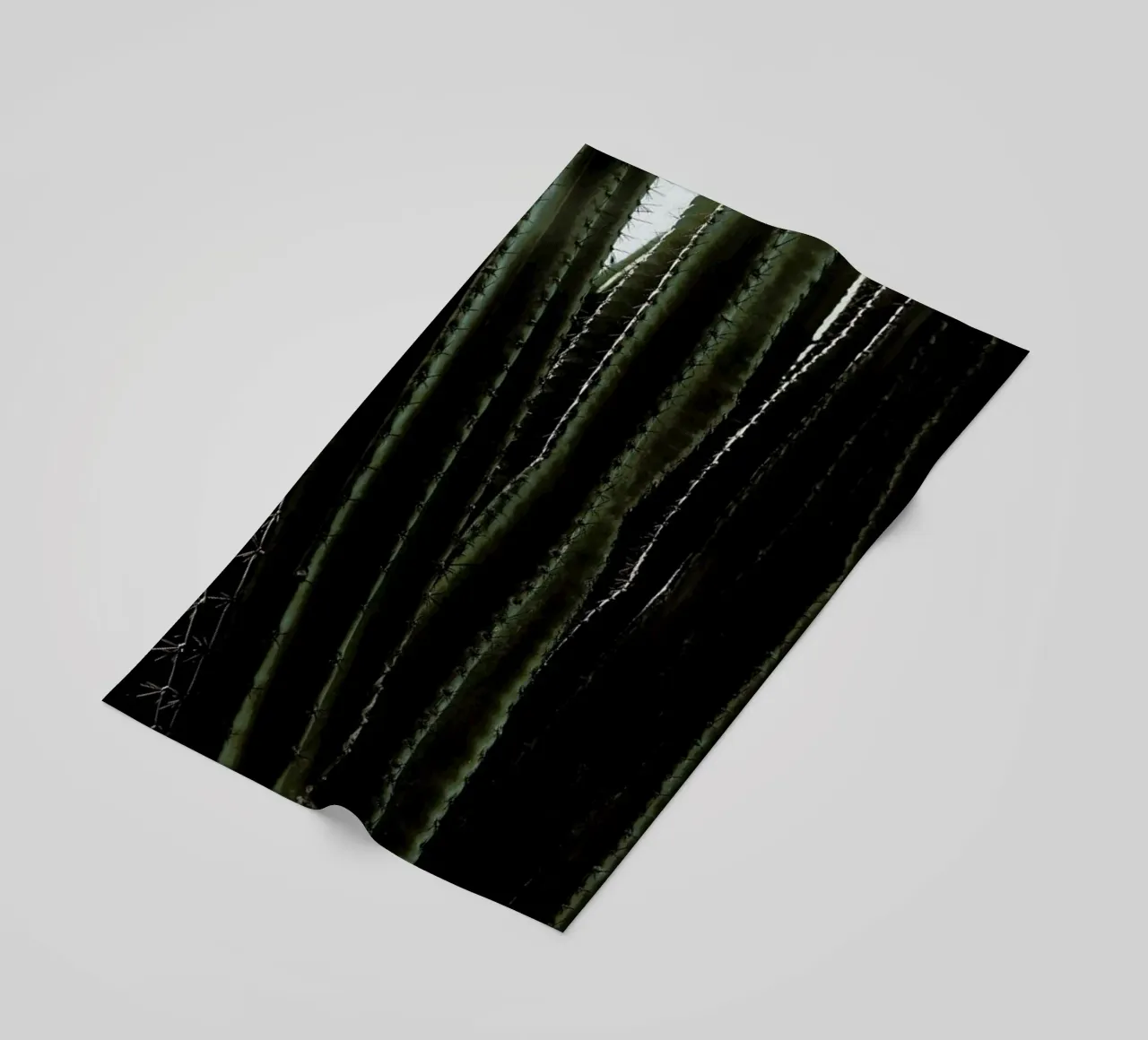 Cactus 01 telo mare da Laura Palm