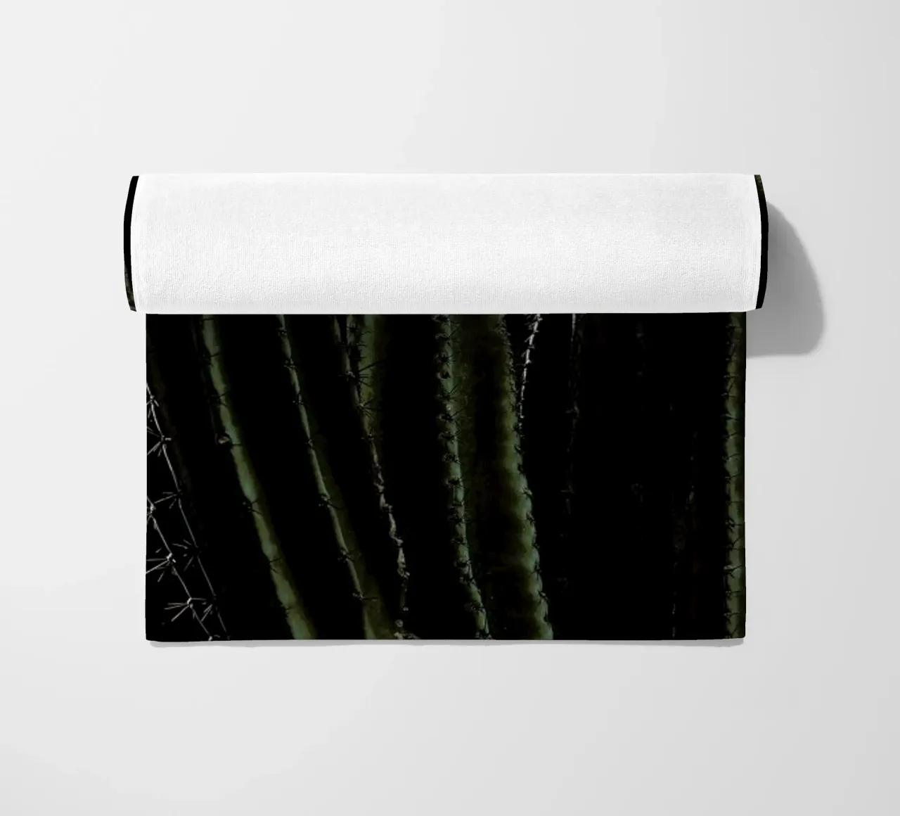 Cactus 01 telo mare da Laura Palm