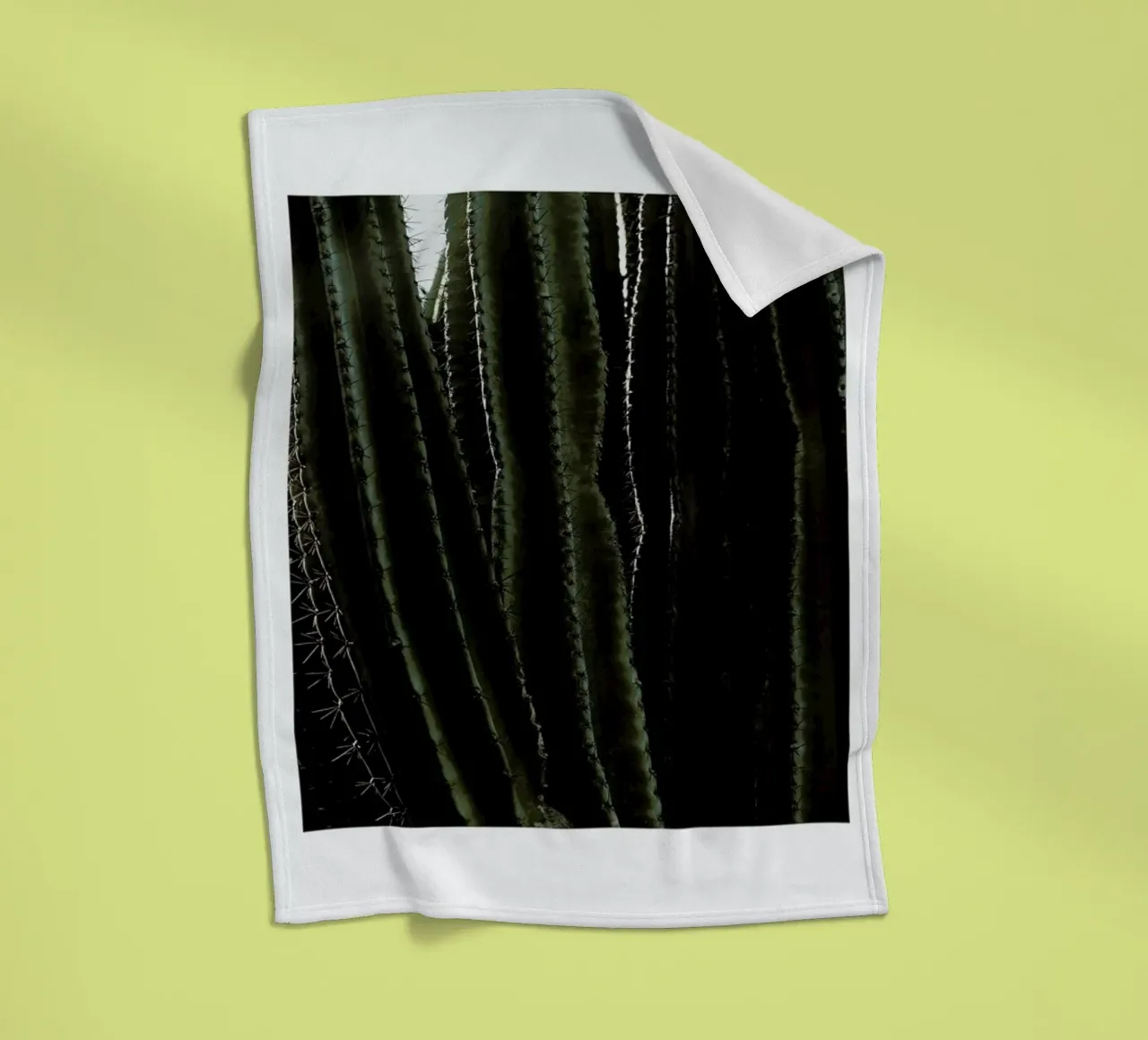 Cactus 01 coperta in pile da Laura Palm