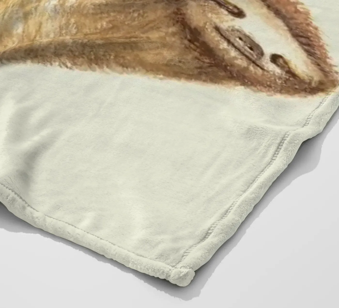 Sloth fleece blanket by Florent Bodart