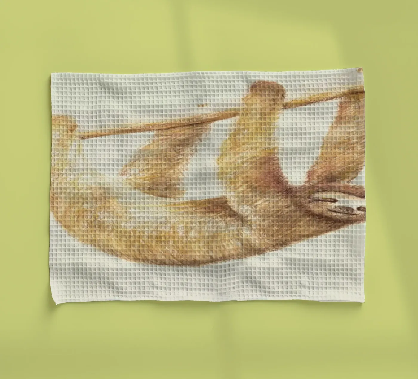 Sloth Geschirrtuch von Florent Bodart