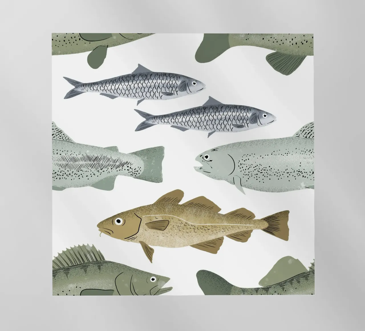 Pesce pellicola backlit da miriamkross