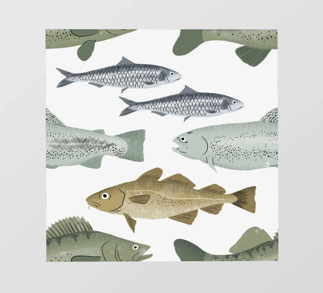 Pesce pellicola backlit da miriamkross