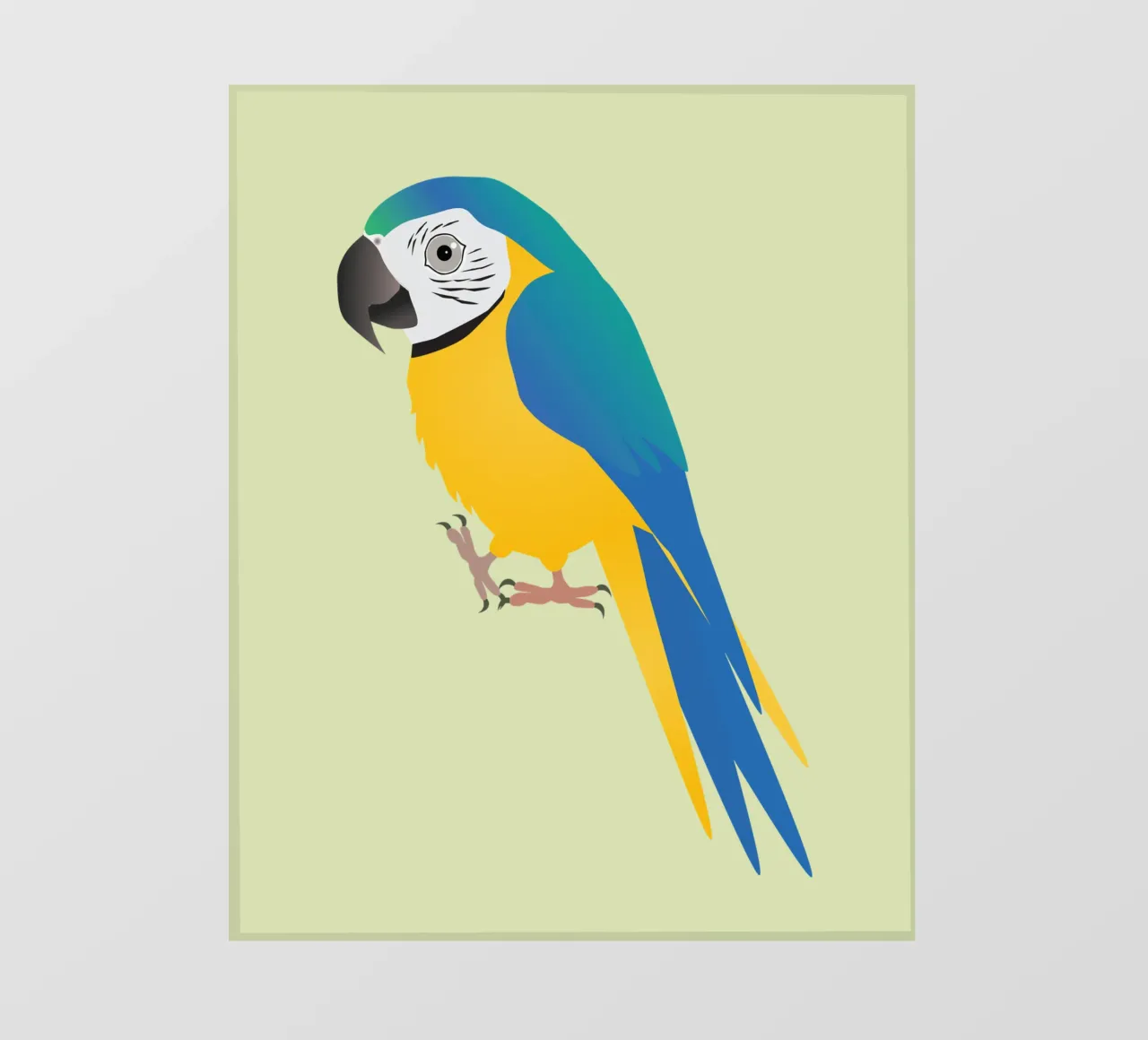 Funny blue and yellow macaw backlit film by BwiseLizzy