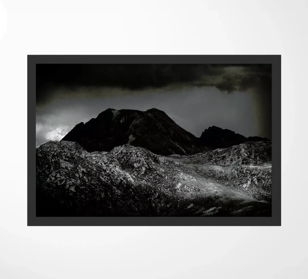 Rays zerbino da Dustin Janko