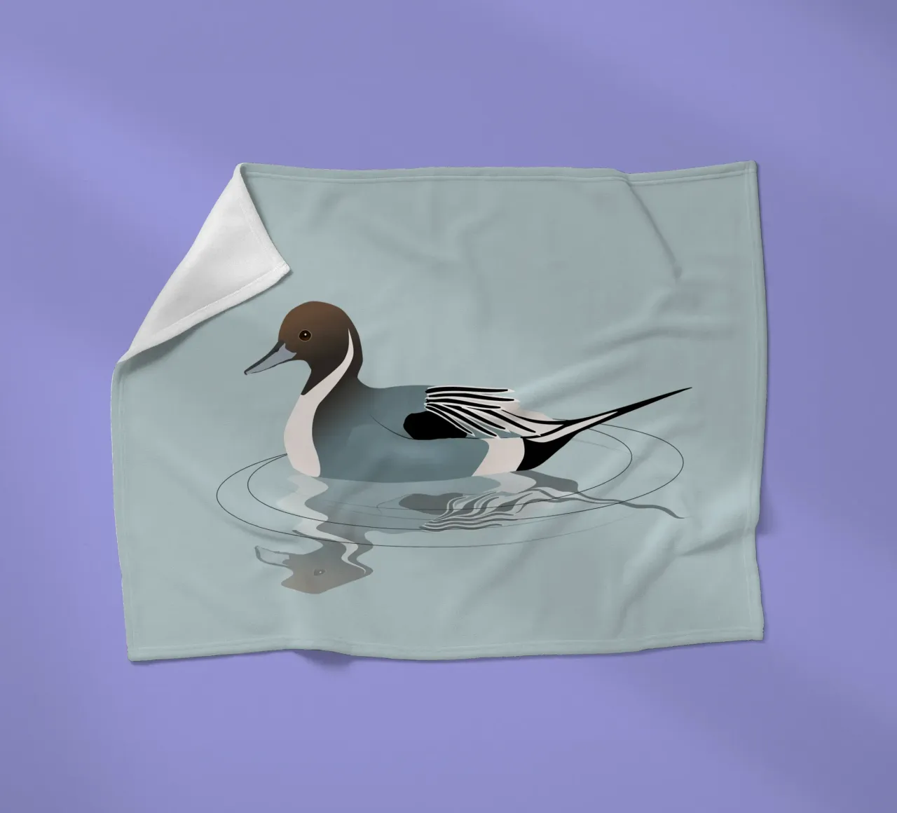 Illustrazione di un'anatra codina settentrionale coperta in pile da BwiseLizzy