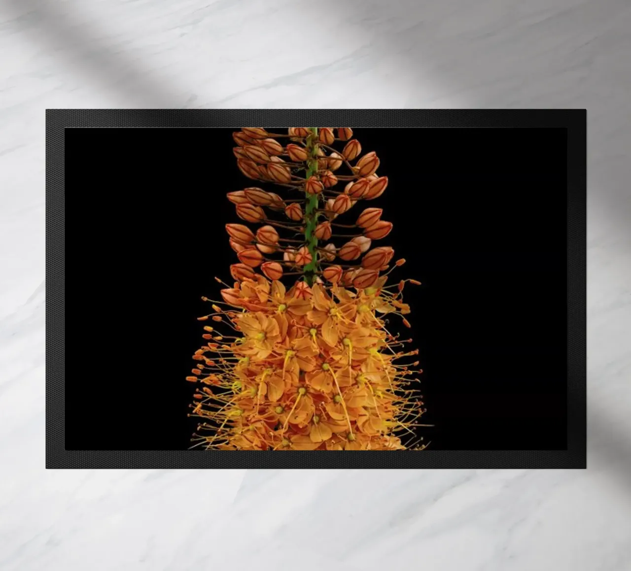 Flower zerbino da Curious Collections by Marielle Leenders