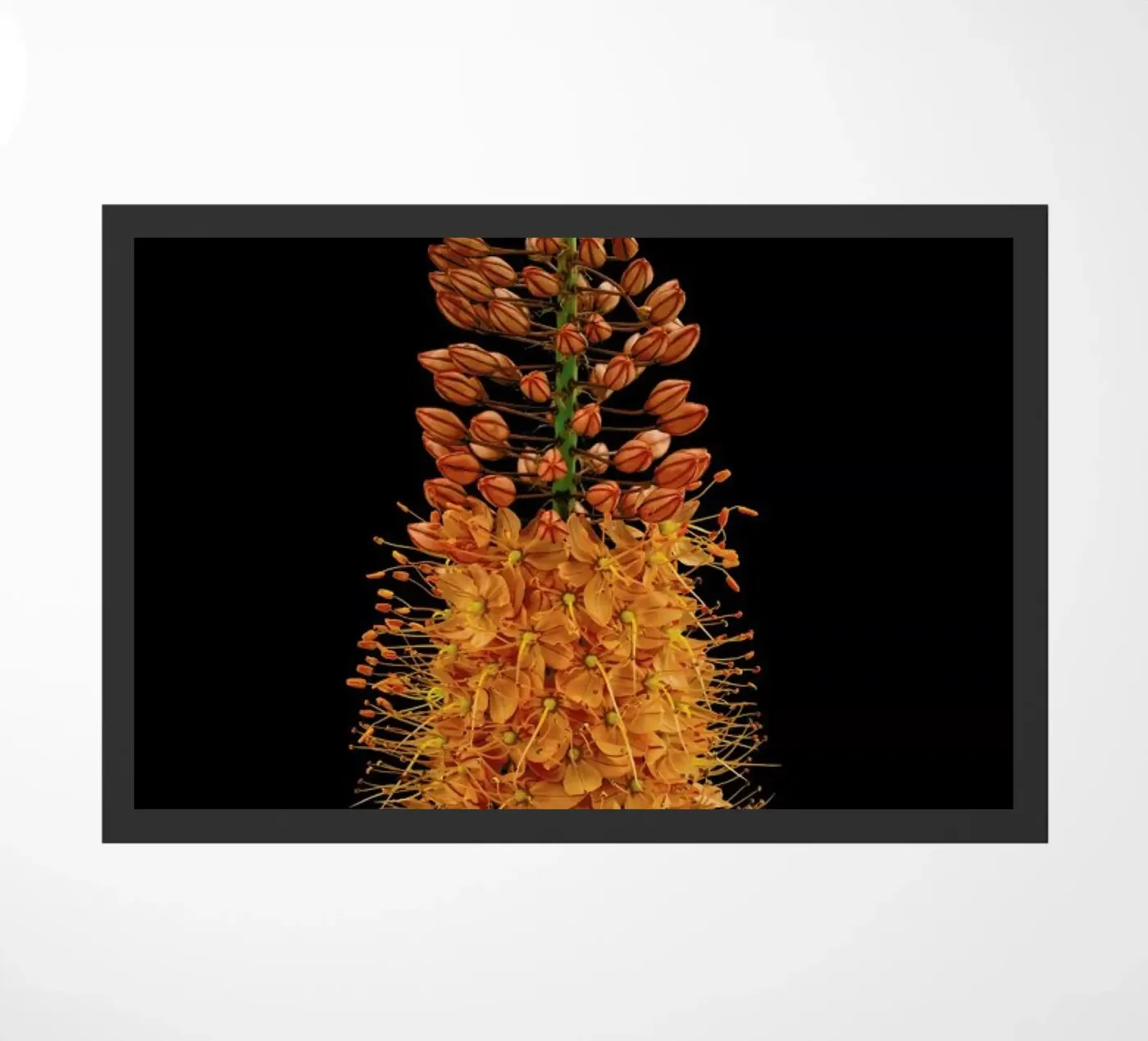 Flower doormat by Curious Collections by Marielle Leenders