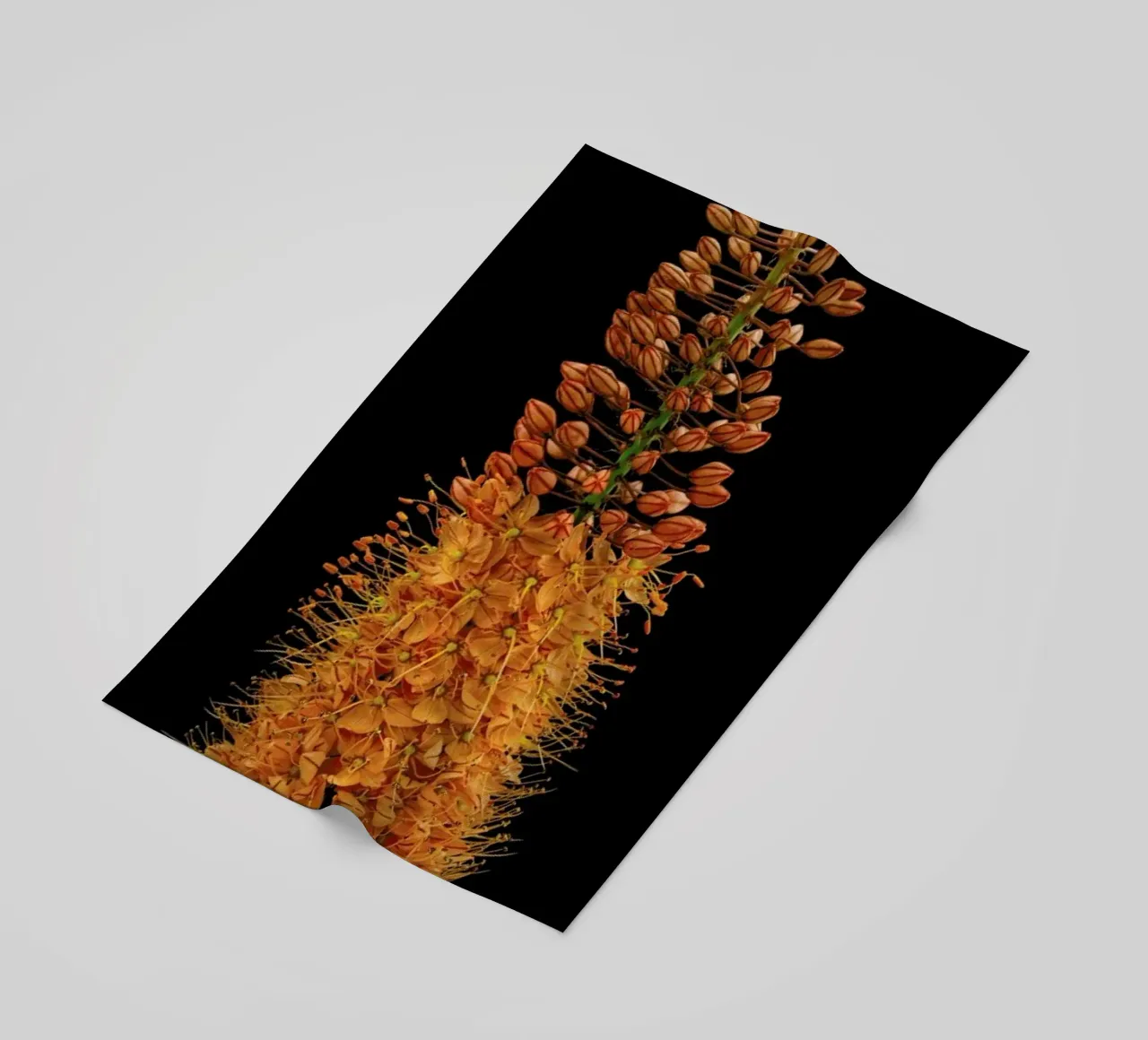 Flower telo mare da Curious Collections by Marielle Leenders