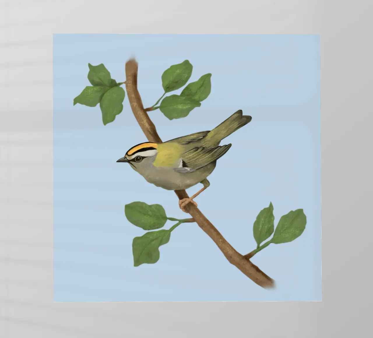 Disegno digitale di firecrest comune pellicola backlit da BwiseLizzy