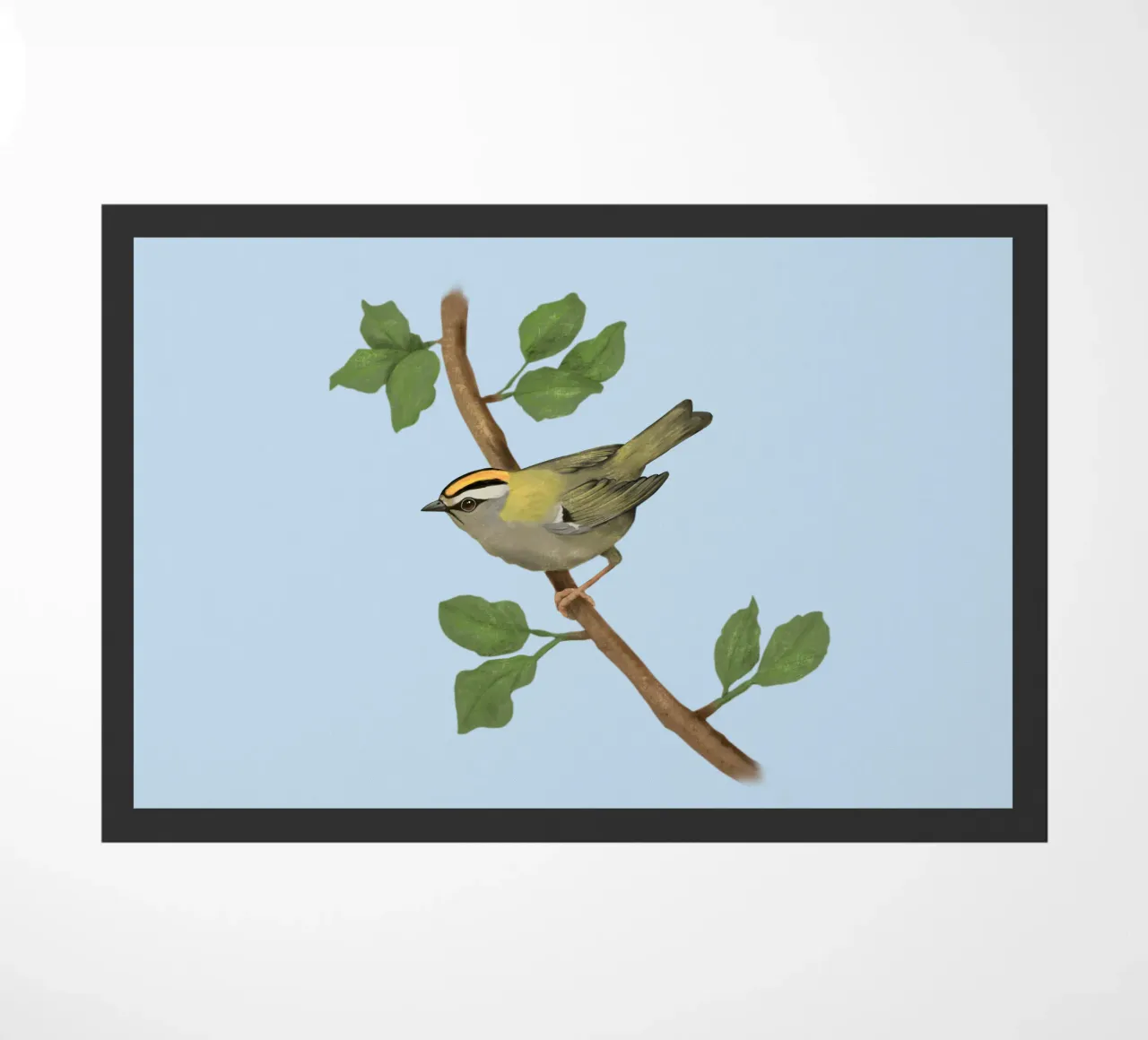 Disegno digitale di firecrest comune zerbino da BwiseLizzy