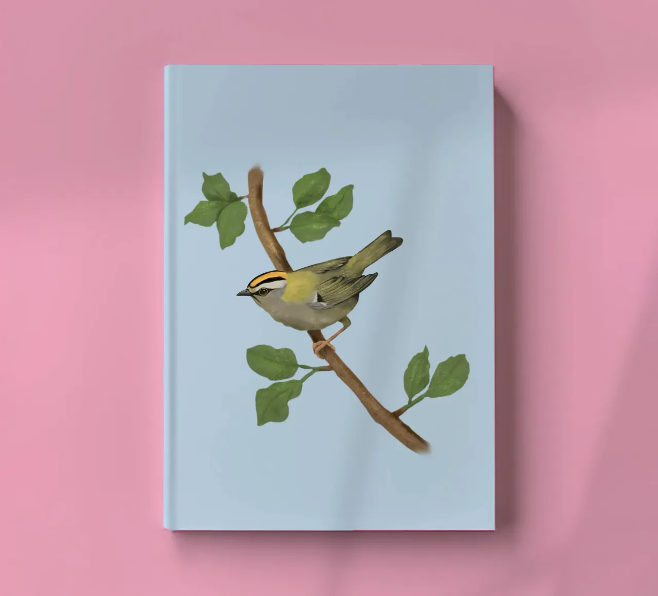 Common firecrest digital drawing notebook by BwiseLizzy