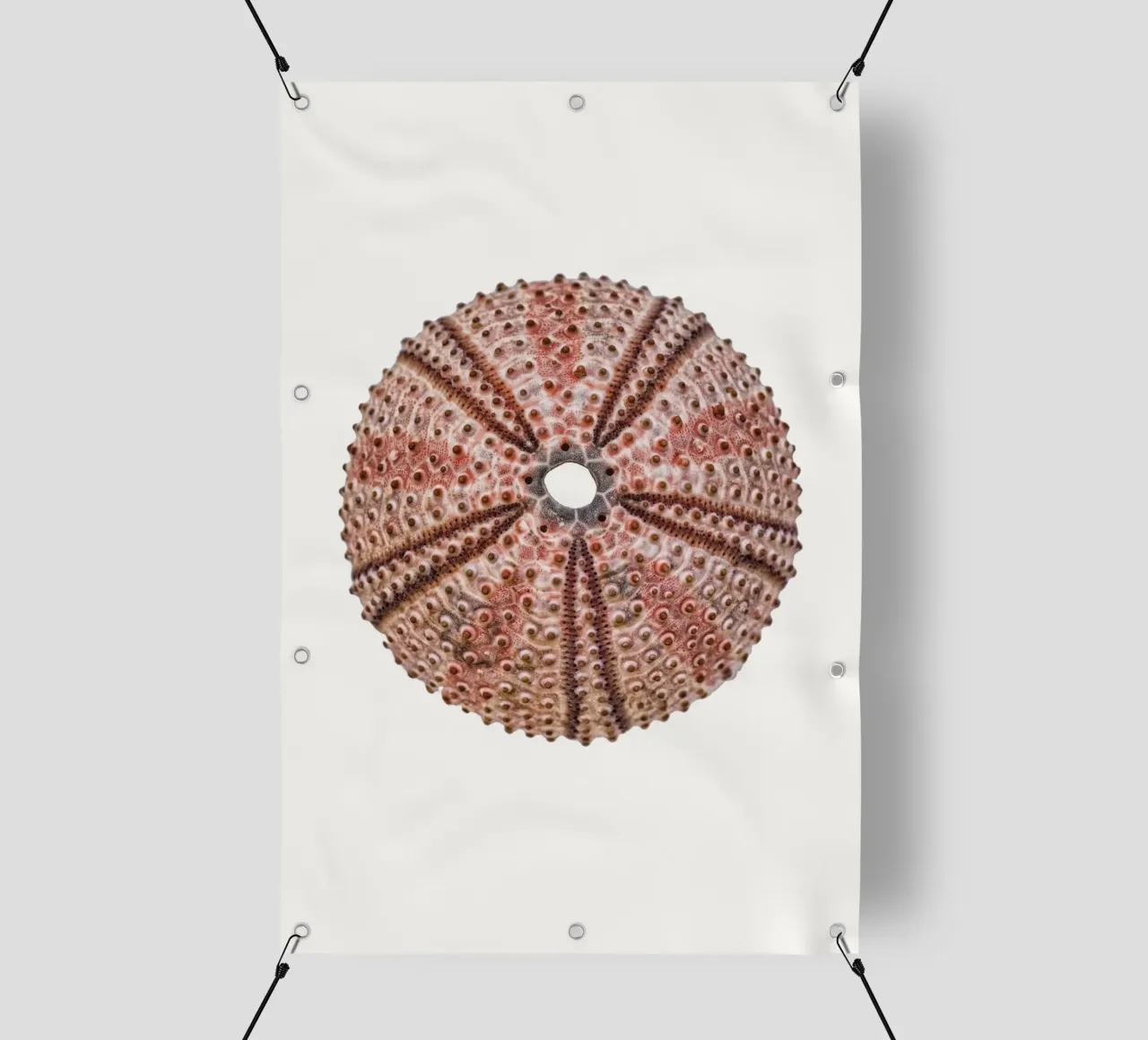 Scheletro di riccio di mare telo in pvc da Curious Collections by Marielle Leenders