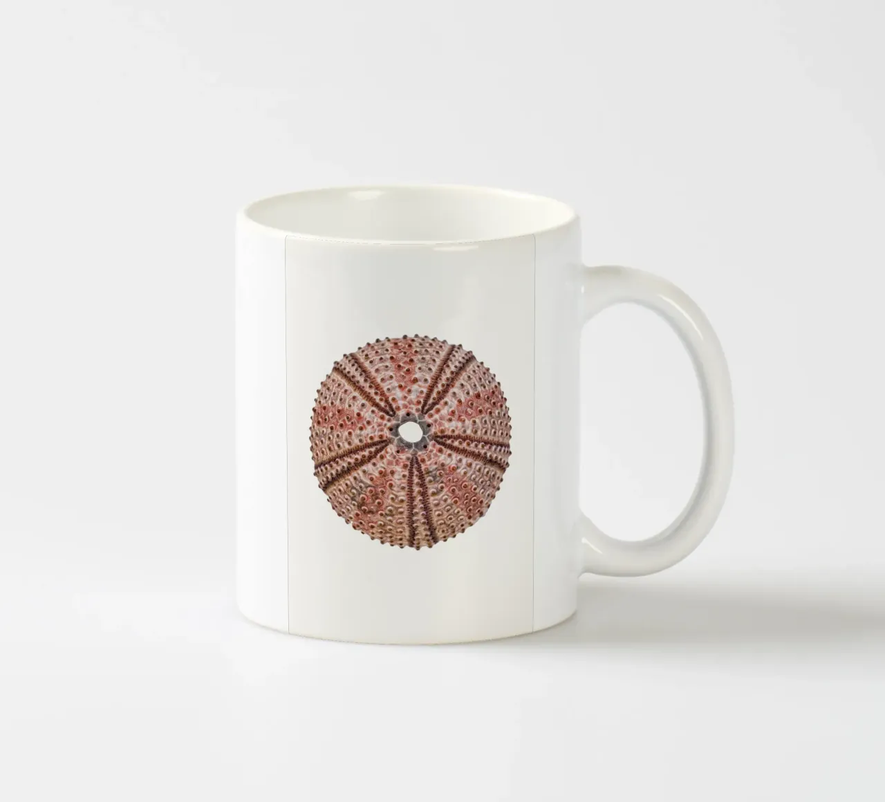 Scheletro di riccio di mare tazza in ceramica da Curious Collections by Marielle Leenders