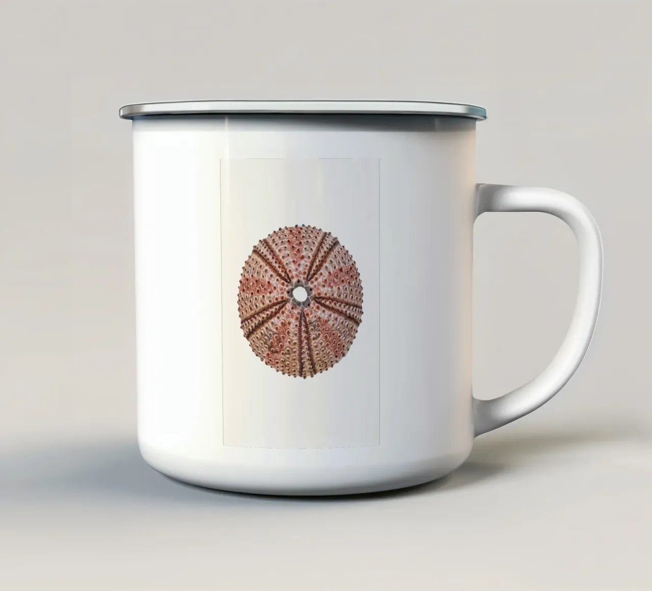 Scheletro di riccio di mare tazza in smalto da Curious Collections by Marielle Leenders
