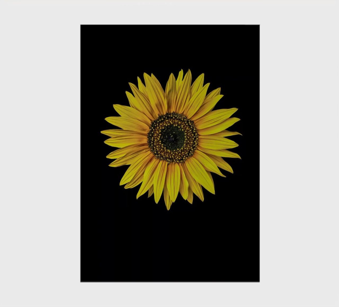 Sunflower notebook by Curious Collections by Marielle Leenders