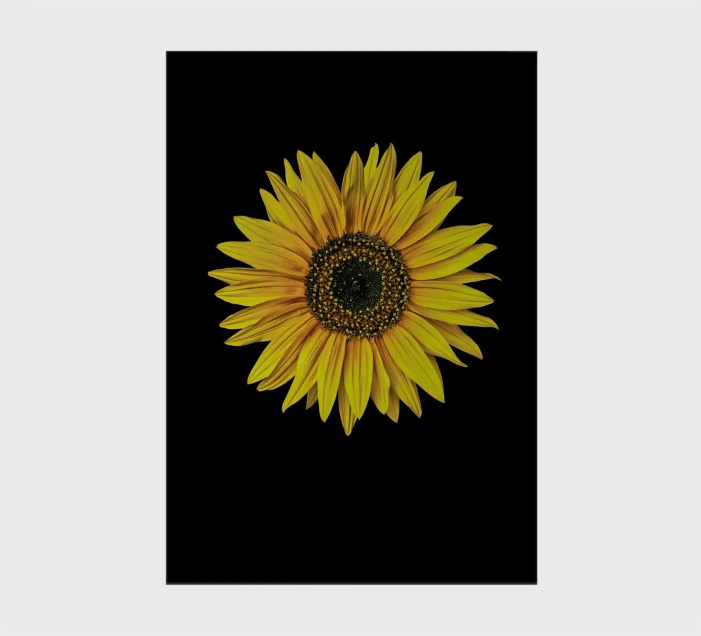 Sunflower notebook by Curious Collections by Marielle Leenders