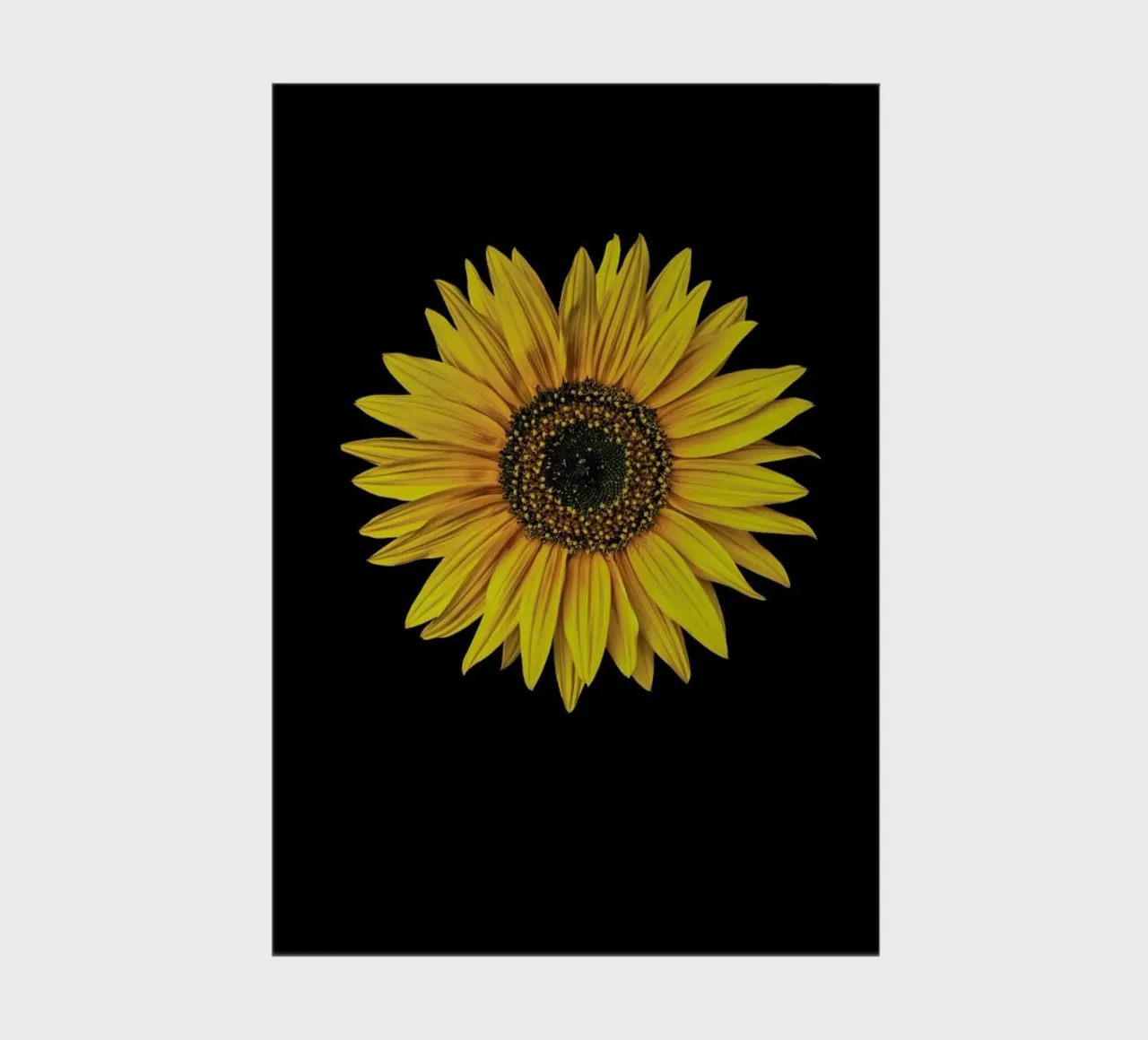Sunflower Notizbuch von Curious Collections by Marielle Leenders