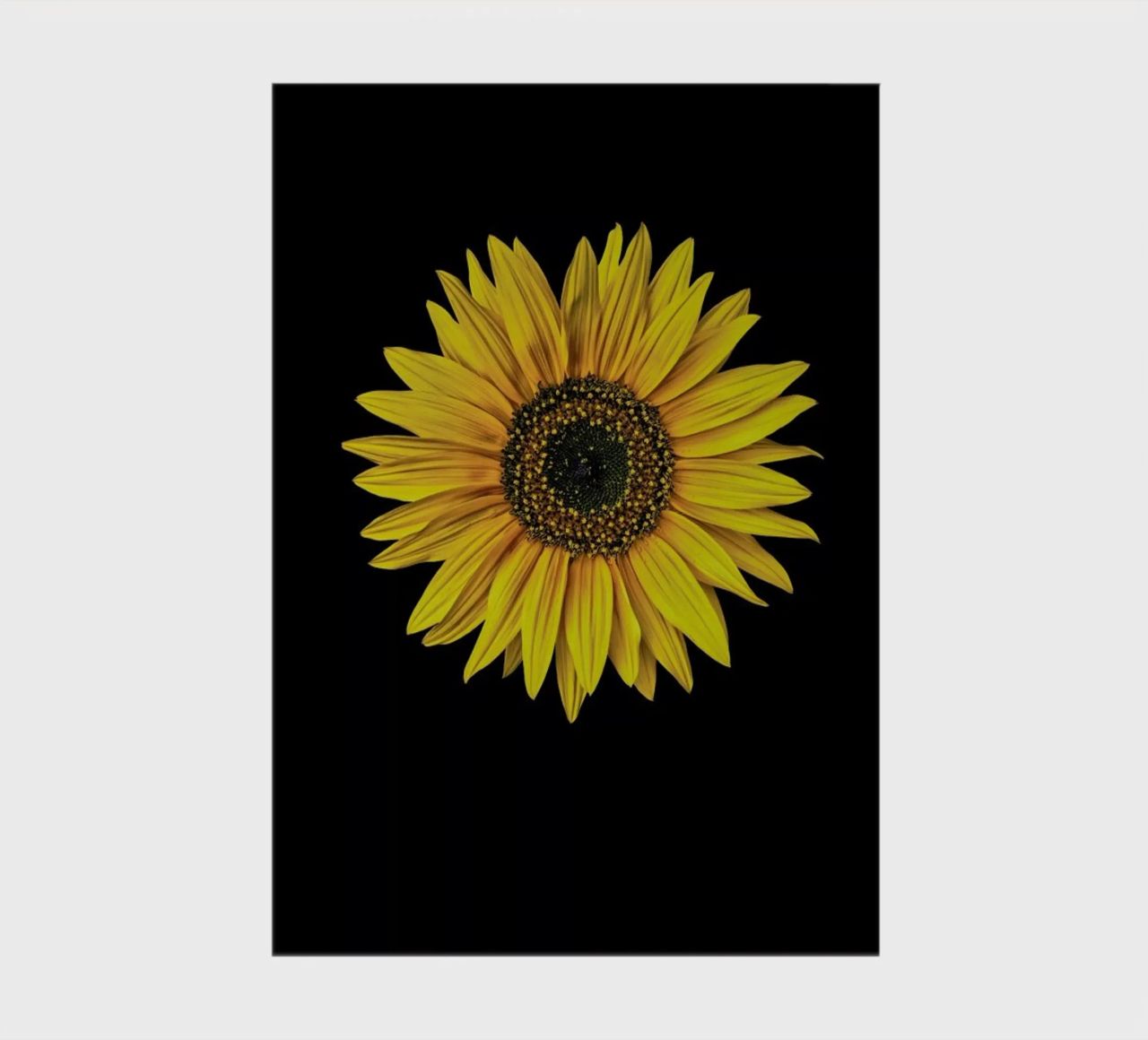 Sunflower notebook by Curious Collections by Marielle Leenders