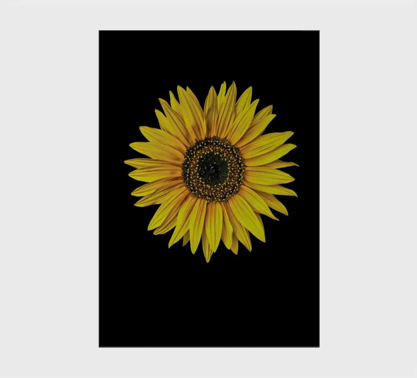 Sunflower notebook by Curious Collections by Marielle Leenders