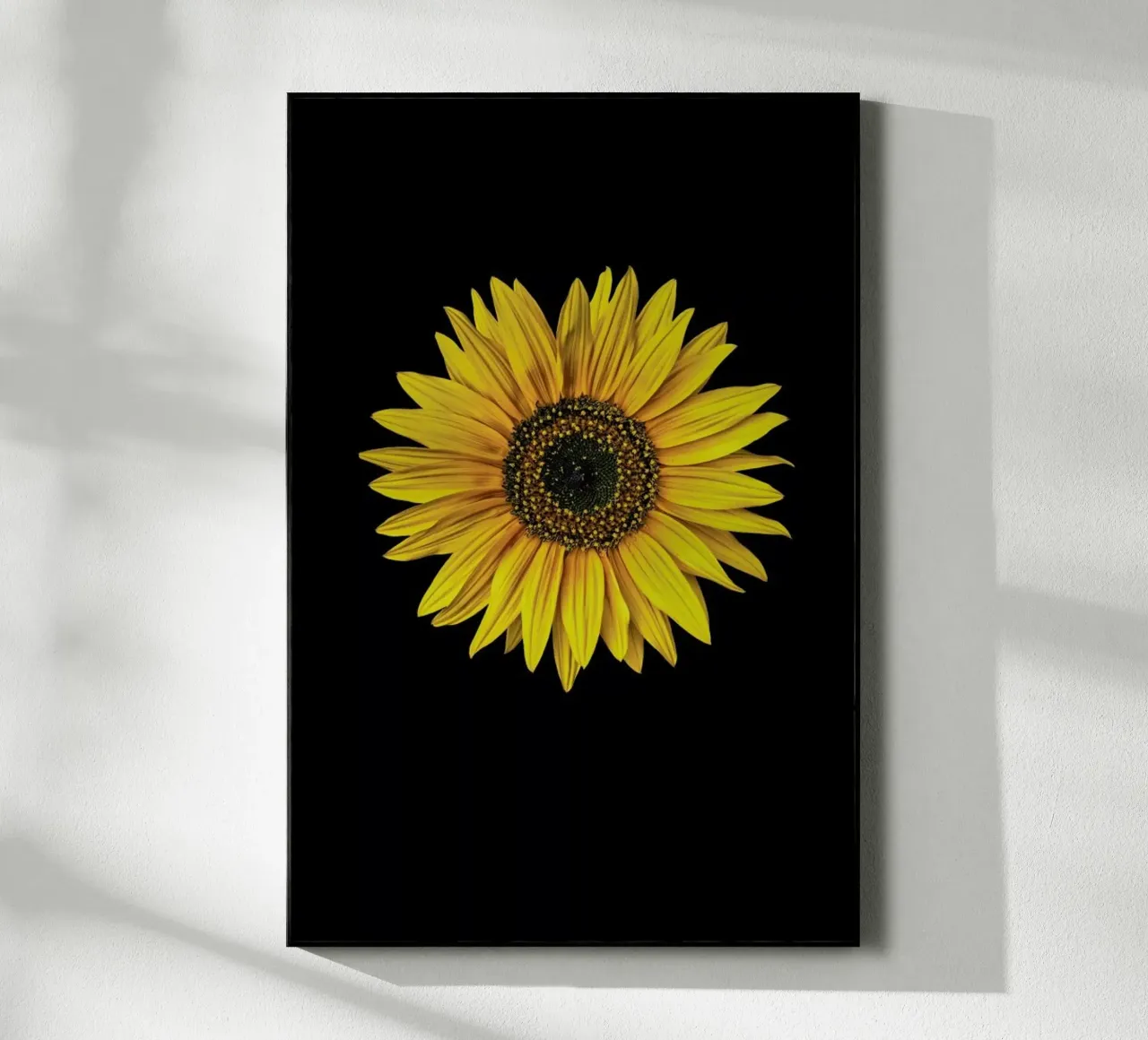 Sunflower plexiglass da Curious Collections by Marielle Leenders