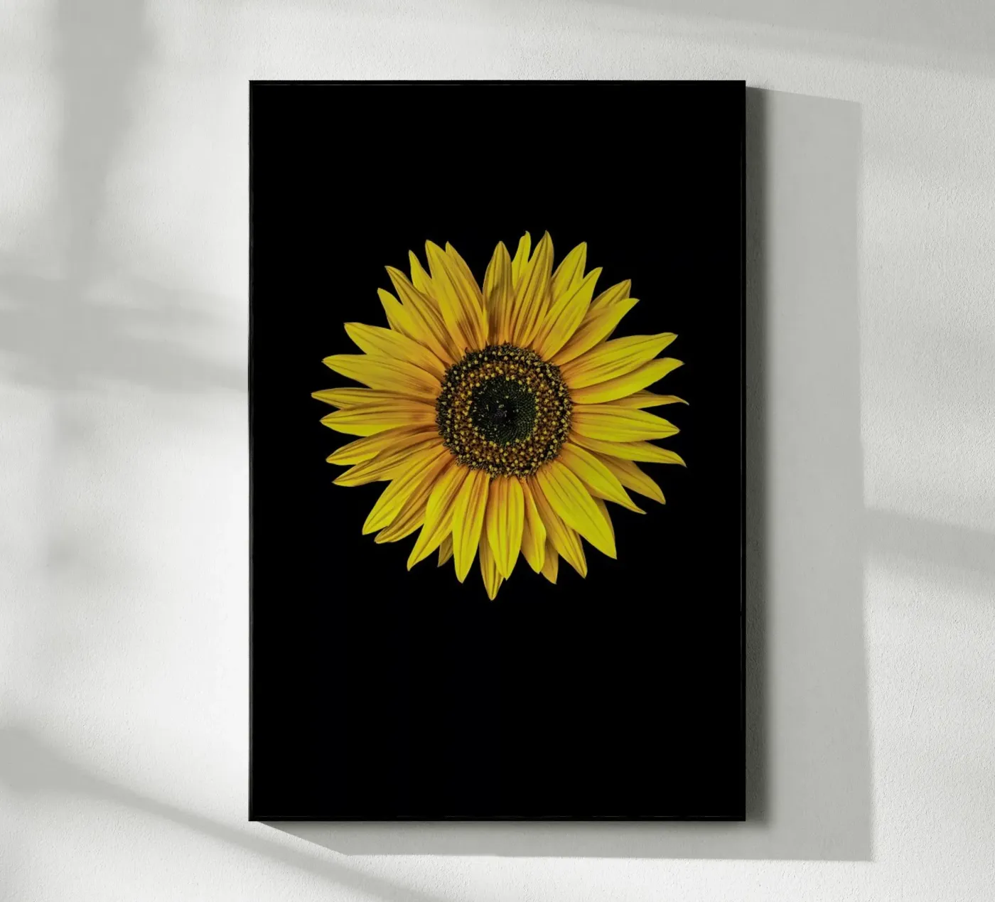 Sunflower plexiglas de Curious Collections by Marielle Leenders