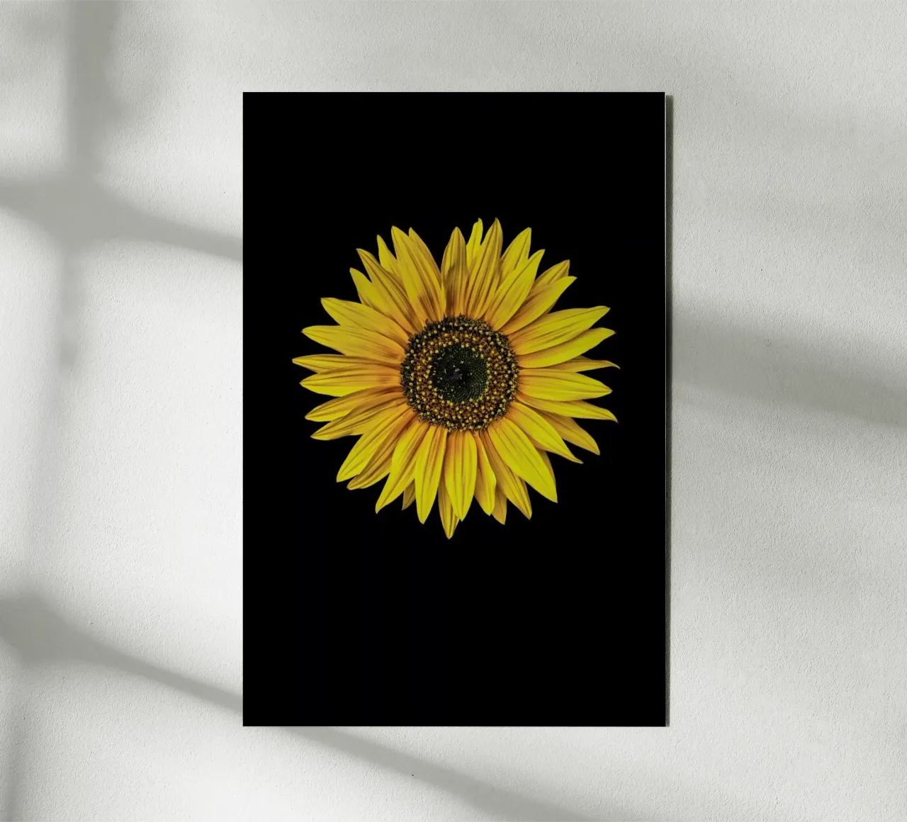 Sunflower pannello forex da Curious Collections by Marielle Leenders
