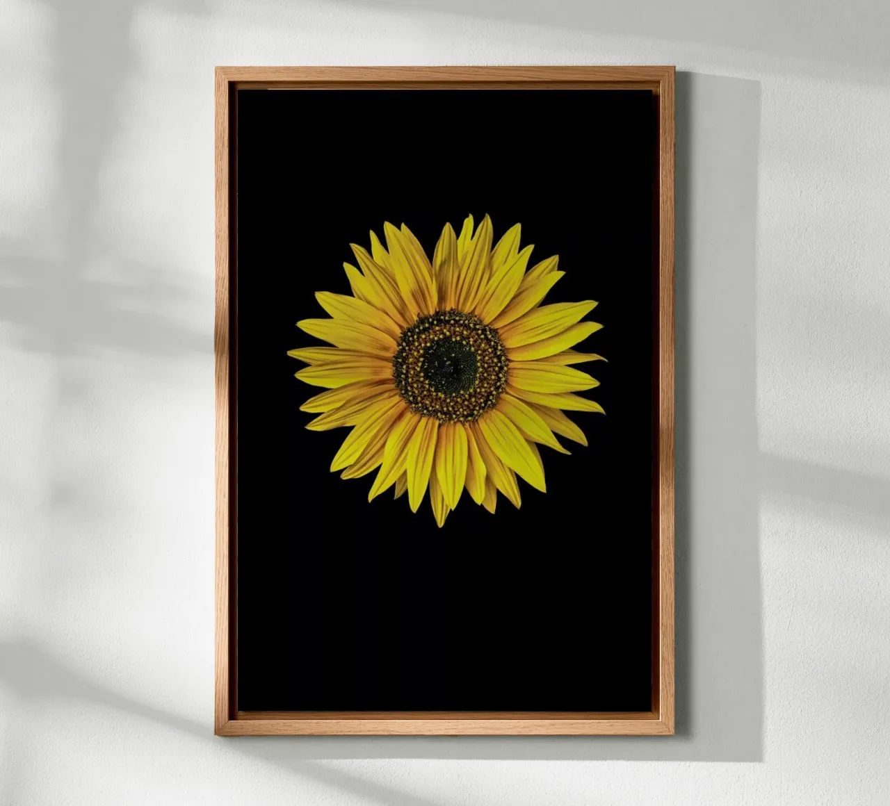 Sunflower tela da Curious Collections by Marielle Leenders
