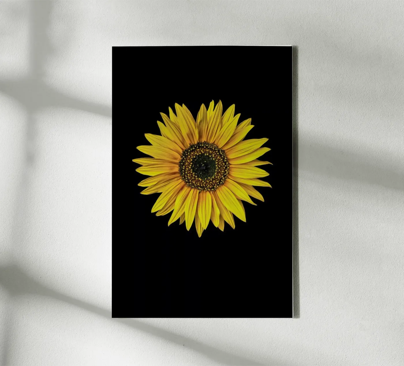 Sunflower canvas van Curious Collections by Marielle Leenders