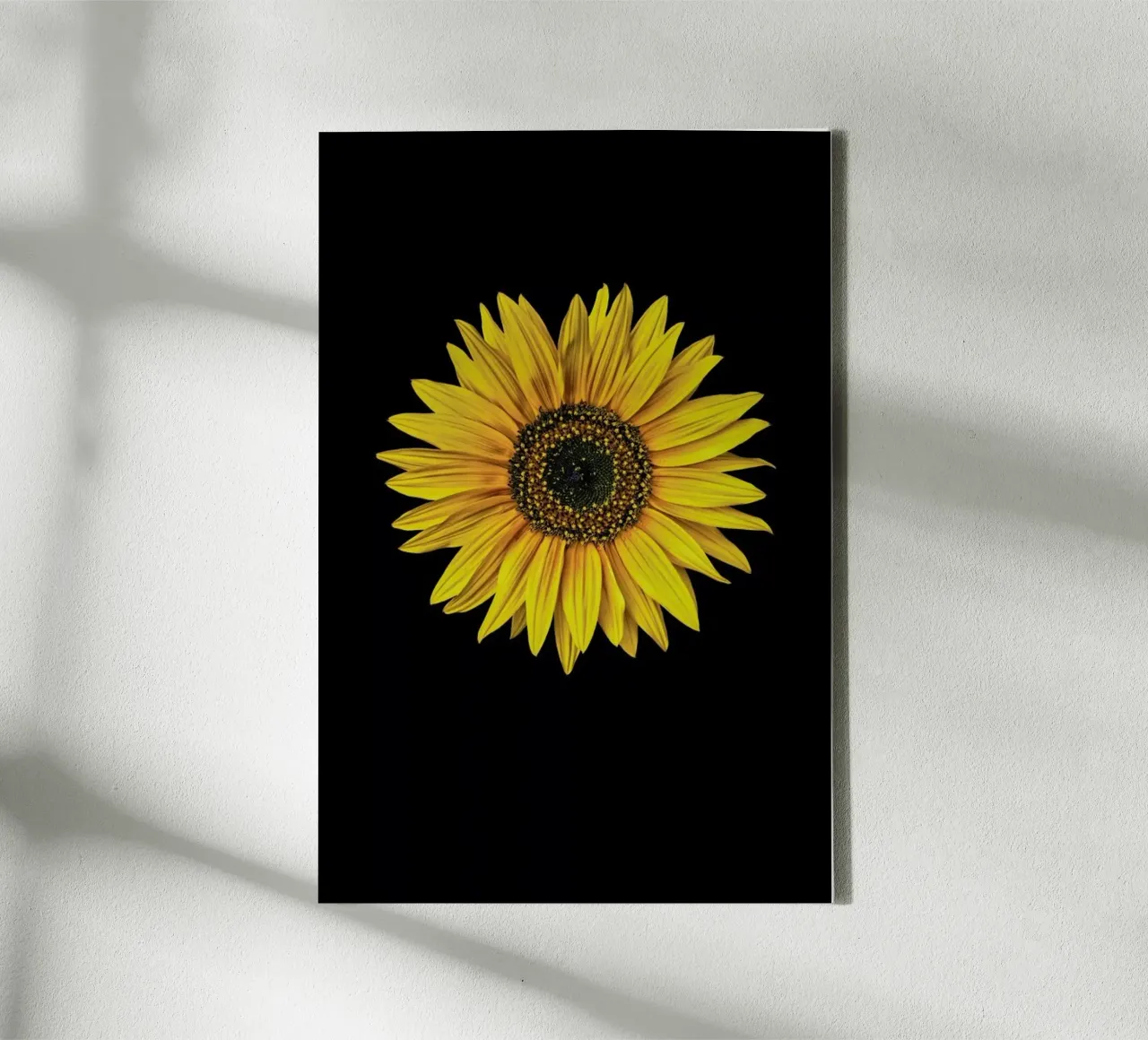 Sunflower tela da Curious Collections by Marielle Leenders