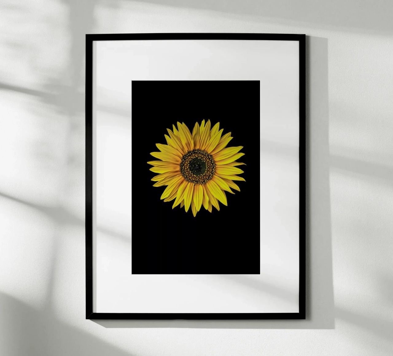 Sunflower poster by Curious Collections by Marielle Leenders