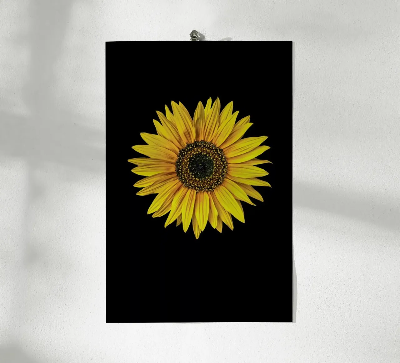 Sunflower poster con telaio in alluminio da Curious Collections by Marielle Leenders