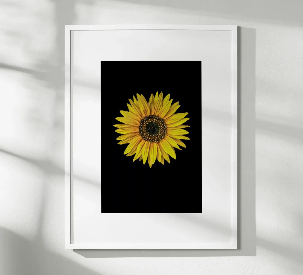 Sunflower poster con telaio in alluminio da Curious Collections by Marielle Leenders