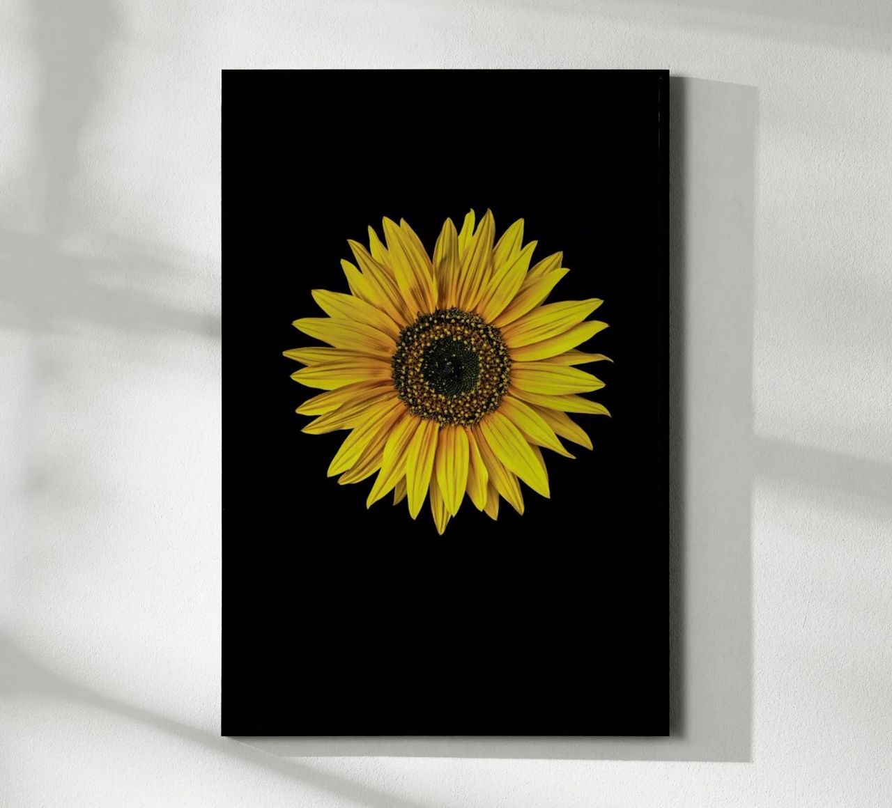 Sunflower poster by Curious Collections by Marielle Leenders