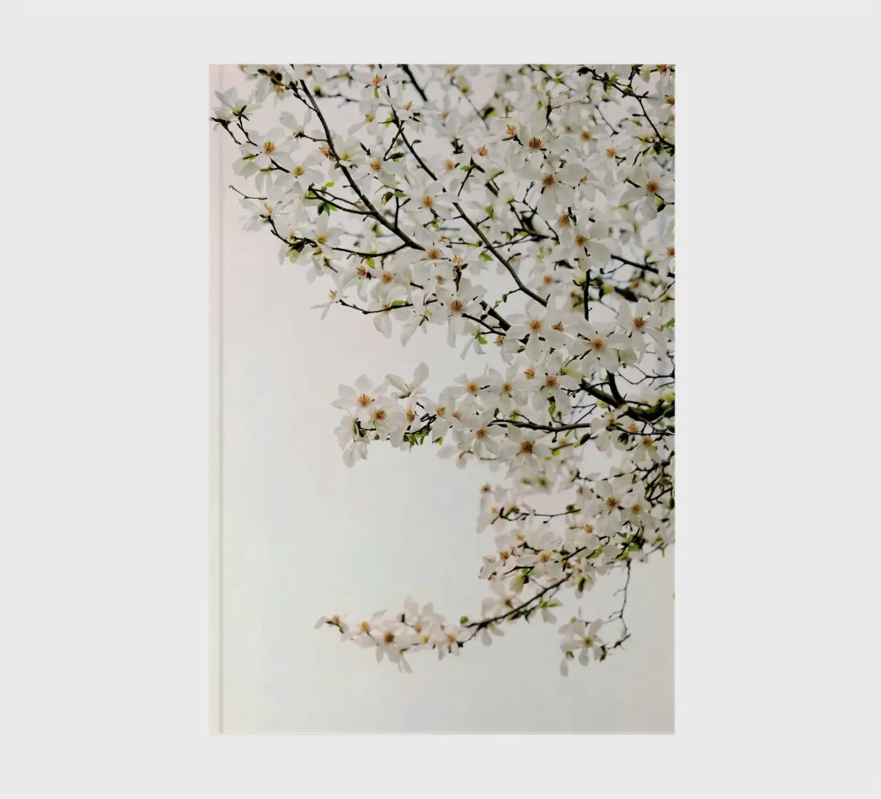 Magnolia White notebook by Curious Collections by Marielle Leenders