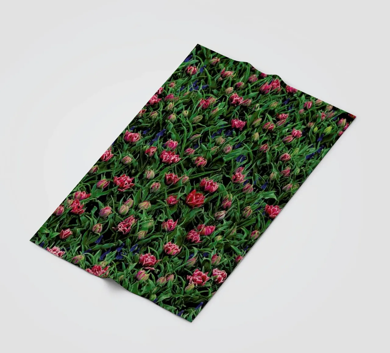 Tulip Field Pink coperta in pile da Curious Collections by Marielle Leenders