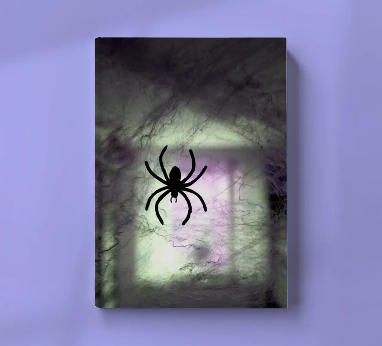 The spider notebook by Massimo Frascogna